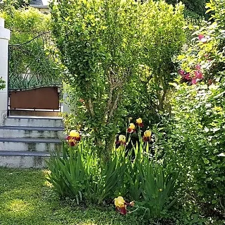 Maison De La Haute Cormerie Casa vacanze Le Thoureil